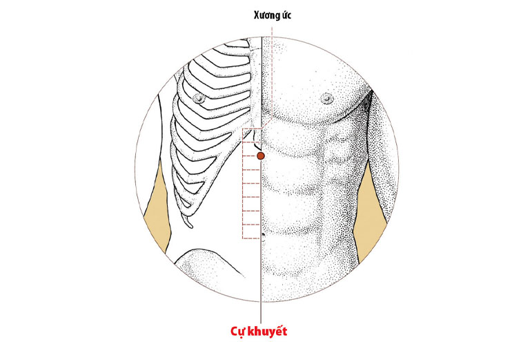 Huyệt Cự Khuyết được coi là "cung điện của trái tim".