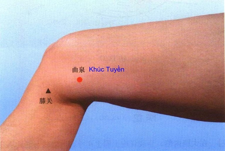 Huyệt Khúc Tuyền có tác động trực tiếp đến các vấn đề xương khớp