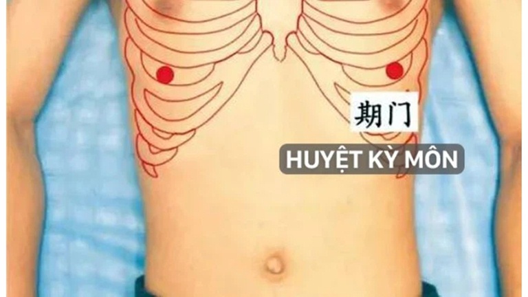 Huyệt Kỳ Môn ở vị trí gần ngực 