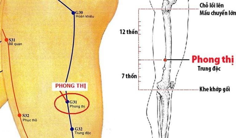 Vị trí huyệt Phong Thị