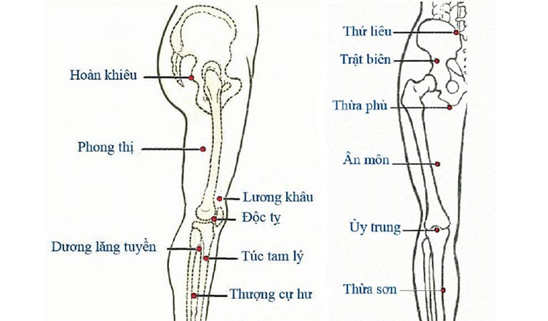 Phong Thị và các huyệt vị khác