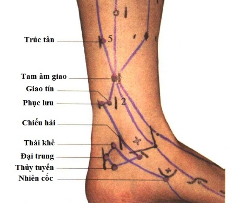 Thủy Tuyền ở dưới mắt cá chân trong