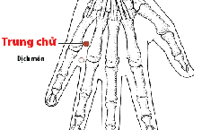 Huyệt Trung Chữ: Vị Trí, Công Dụng, Cách Tác Dụng Chữa Bệnh