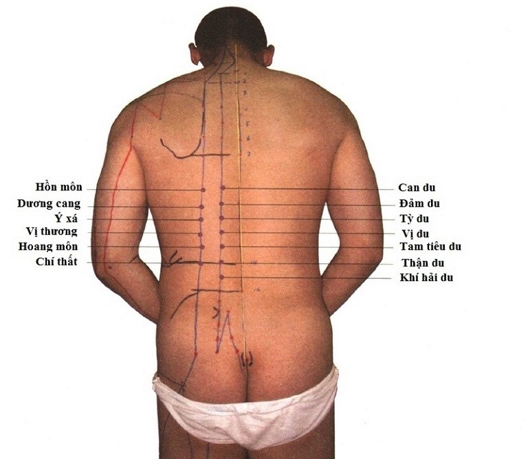 Huyệt Chí Thất có vai trò quan trọng cho sức khỏe
