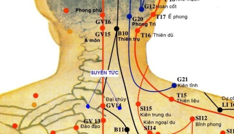 Huyệt định suyễn là huyệt đạo quan trọng có ảnh hưởng lớn tới sức khỏe