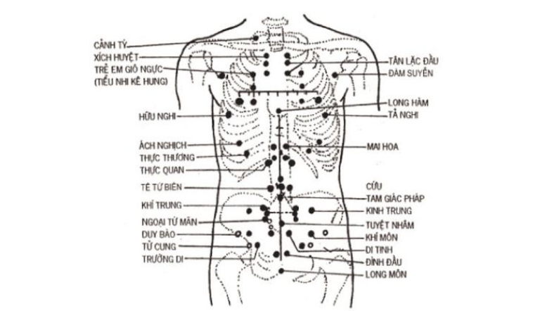 Huyệt định suyễn nằm trên khu vực lưng của người bệnh