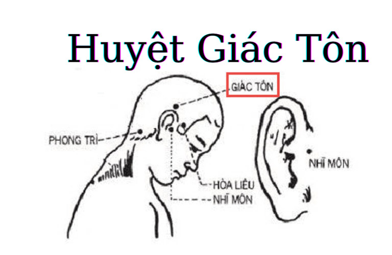 Vị trí huyệt Giác Tôn