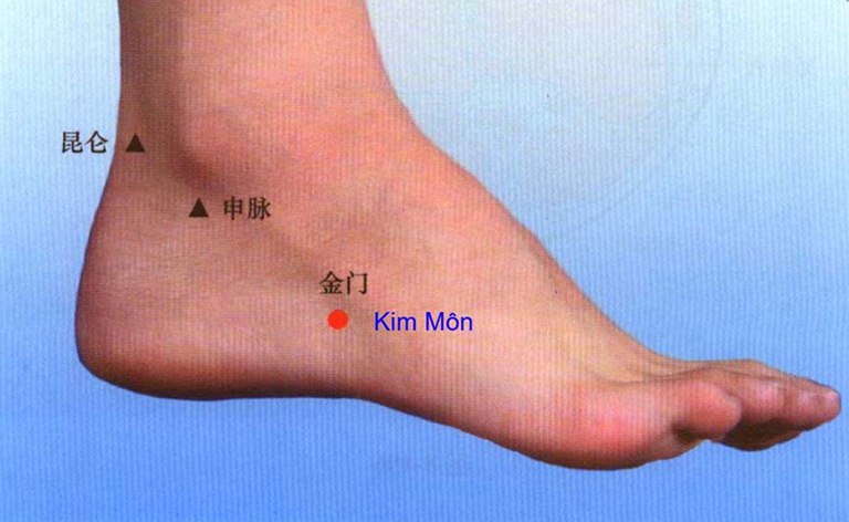 Kim Môn có nhiều tác dụng với sức khỏe