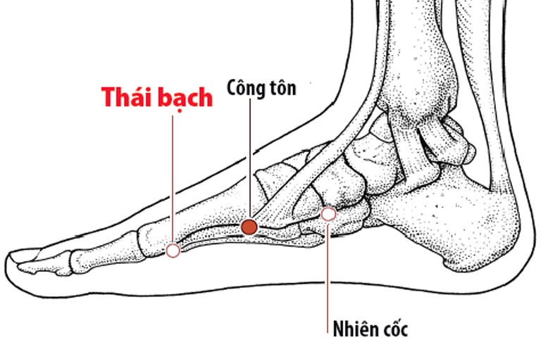 Công dụng của huyệt Nhiên Cốc trong điều trị bệnh