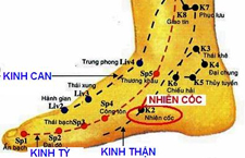 Huyệt Nhiên Cốc Là Gì? Tác Dụng Và Phương Pháp Bấm Huyệt Hiệu Quả