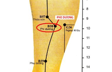 Huyệt Phi Dương: Cách Xác Định Vị Trí Và Tác Động Chữa Bệnh