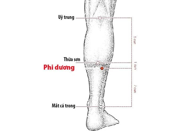 Vị trí Phi Dương Huyệt