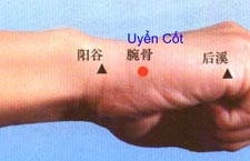 Huyệt Uyển Cốt Nằm Ở Chỗ Nào? Công Dụng Ra Sao?