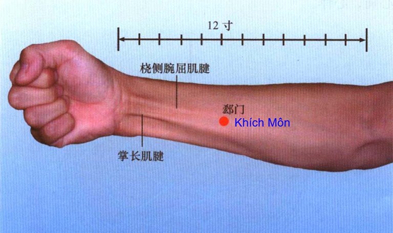 Huyệt Khích Môn nằm trên khớp cổ tay 5 thốn