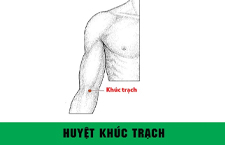 Huyệt Khúc Trạch: Vị Trí, Công Dụng Và Cách Bấm Huyệt