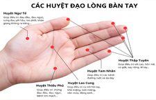 14 Huyệt Trên Bàn Tay Quan Trọng Và Tác Dụng Khi Bấm Huyệt