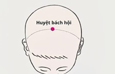 Huyệt Bách hội: Vị Trí, Công Dụng Và Cách Bấm Huyệt Hiệu Quả