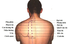 Huyệt Cách Du: Đặc Tính, Tác Dụng Và Cách Chữa Bệnh