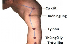 Huyệt Cự Cốt: Vị Trí Và Tác Dụng Đặc Biệt Trong Chữa Bệnh Vai Gáy