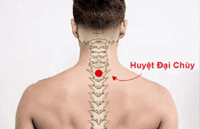 Huyệt Đại Chùy: Vị Trí, Cách Xác Định Và Công Dụng Trong Y Học