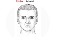 Huyệt Đầu Duy Là Gì? Tác Dụng Và Cách Kích Thích Hiệu Quả