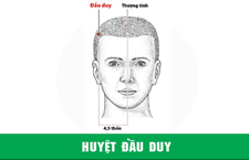 Huyệt Đầu Duy: Vị Trí, Tác Dụng Và Cách Bấm Huyệt