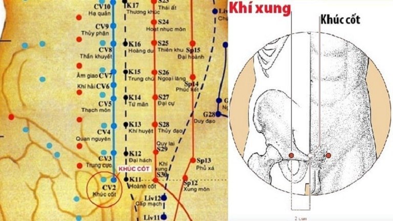 Vị trí của huyệt Khúc Cốt trên cơ thể