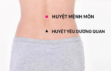 Huyệt Mệnh Môn - Cửa Sinh Mệnh: Bí Quyết Trị Bách Bệnh Của YHCT