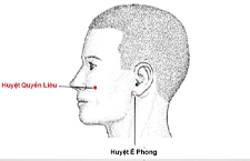 Huyệt Quyền Liêu - Huyệt Trị Liệt Mặt, Đau Răng, Đau Mắt