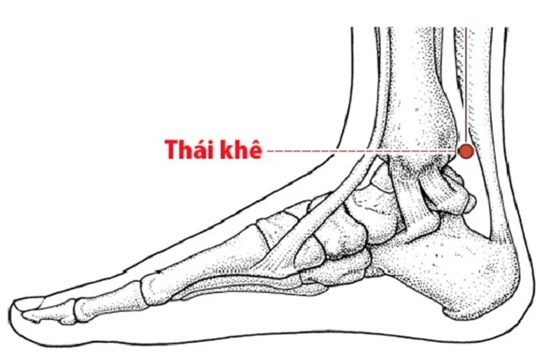 Vị trí huyệt Thái Khê trên cơ thể