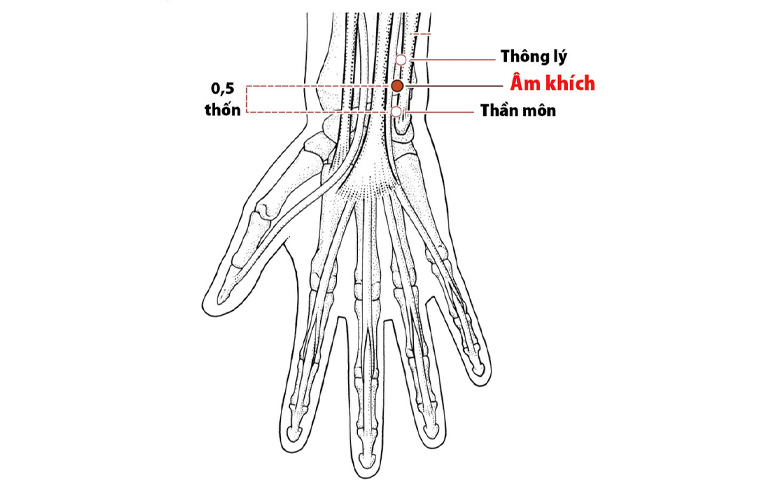 Huyệt Thông Lý là một huyệt đạo quan trọng trong hệ thống kinh lạc của Y học cổ truyền