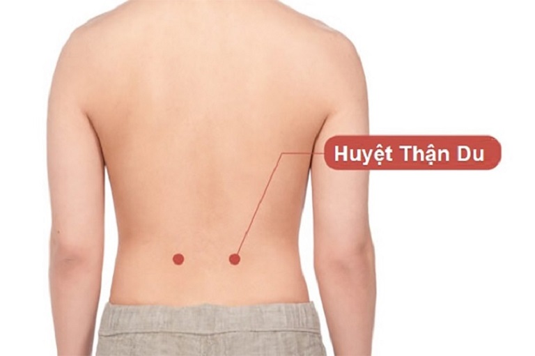 Vị trí của huyệt Thận Du trên cơ thể