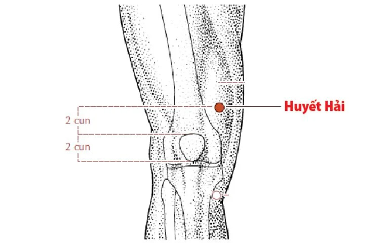 Huyệt Huyết hải có công dụng thúc đẩy quá trình lưu thông máu