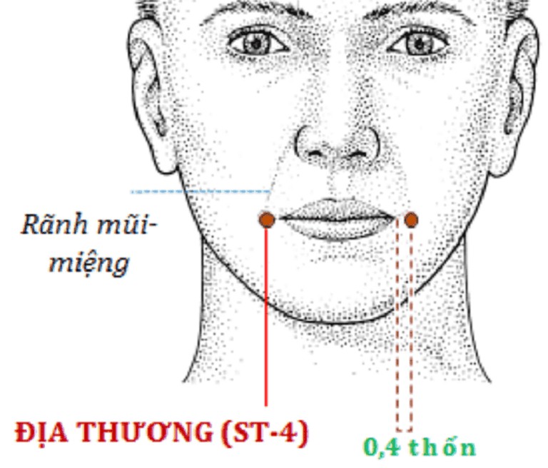 Vị trí huyệt địa thương trên gương mặt