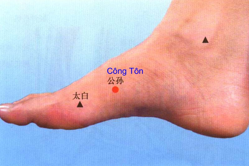 Huyệt Công Tôn ở dưới 2 gan bàn chân