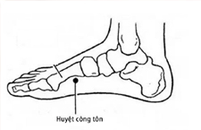 Huyệt Công Tôn: Cách Xác Định Và Tác Dụng Huyệt Đối Với Sức Khỏe