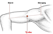 Huyệt Kiên Ngung - Huyệt Trị Đau Nhức Vai Gáy Và Cánh Tay