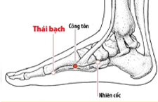 Huyệt Thái Bạch: Vị trí, Tác Dụng Và Cách Bấm Huyệt 