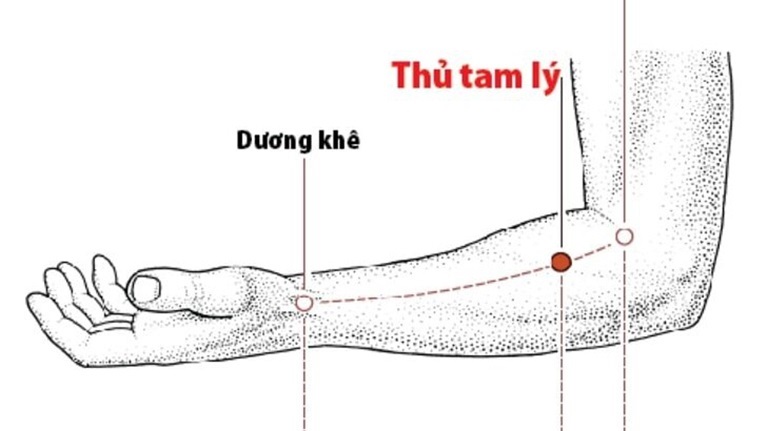 Huyệt Thủ Tam Lý là một trong những huyệt vị quan trọng trong Y học cổ truyền