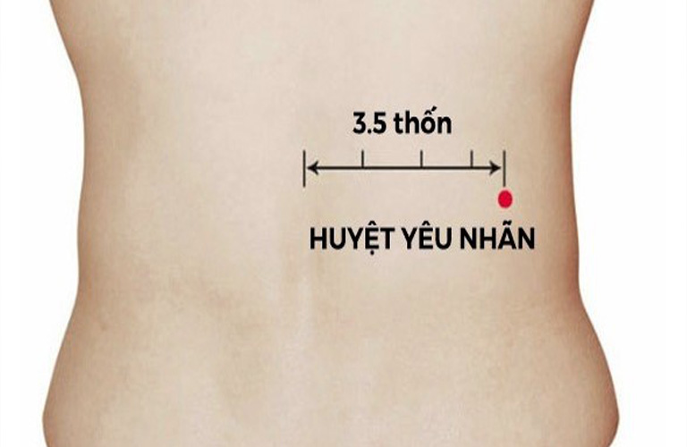 Vị trí huyệt Yêu Nhãn