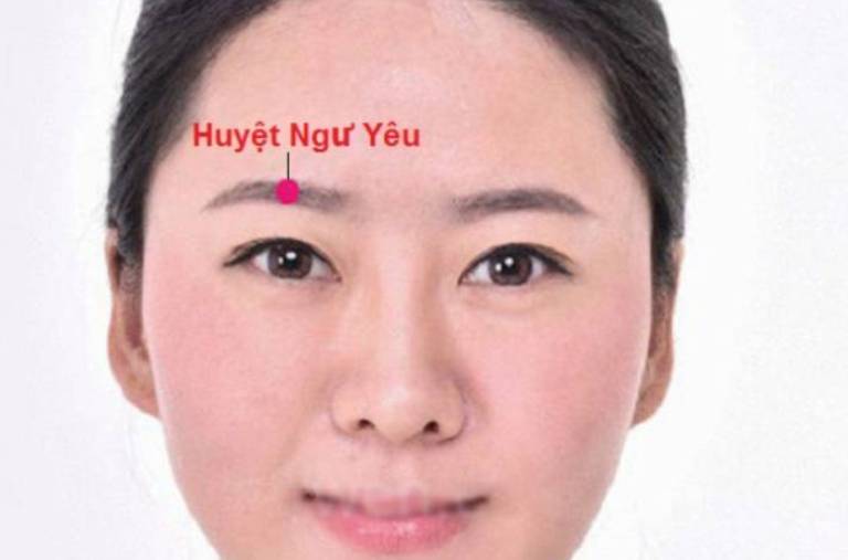 Ngư Yêu là huyệt nằm giữa cung lông mày, trên đường thẳng dọc từ đồng tử mắt