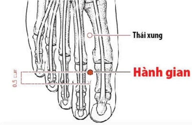 Huyệt Hành Gian giảm tiêu chảy, đau bụng hiệu quả