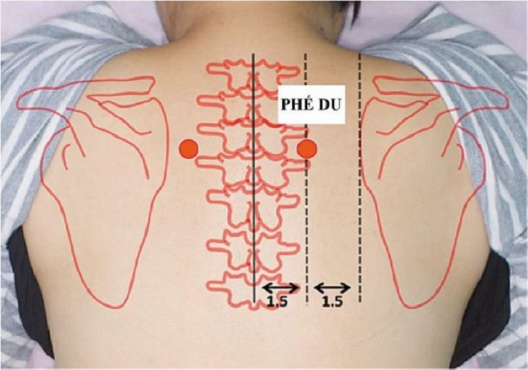 Vị trí huyệt Phế Du