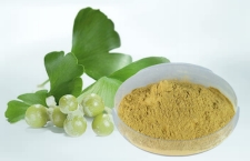 Người Bị Bệnh Huyết Áp Cao Uống Ginkgo Biloba Được Không?