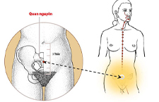 Huyệt Quan Nguyên: Vị Trí, Tác Dụng, Cách Khai Thông Trị Bệnh