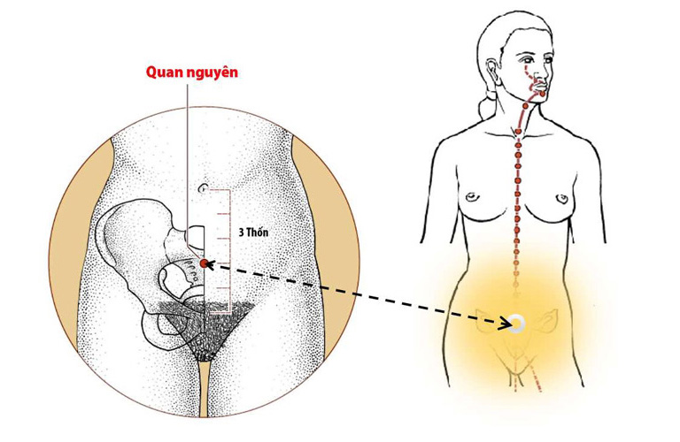 Hình ảnh minh họa huyệt Quan Nguyên