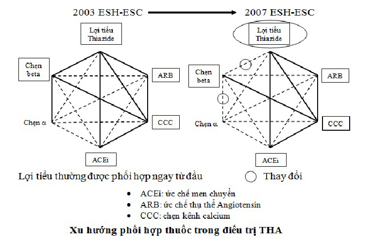 Nguyên tắc kết hợp thuốc trong phác đồ điều trị huyết áp