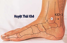 Huyệt Thái Khê: Tìm Hiểu Về Vị Trí, Công Dụng Của Huyệt Đạo