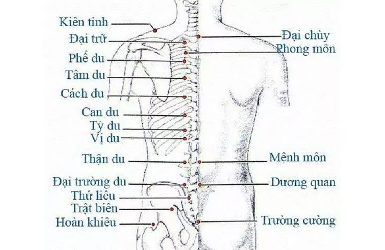 Trên cơ thể có nhiều huyệt đạo hỗ trợ điều trị bệnh tuyến giáp