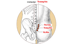 Huyệt Bát Liêu: Vị Trí, Công Năng Và Cách Châm Cứu, Bấm Huyệt